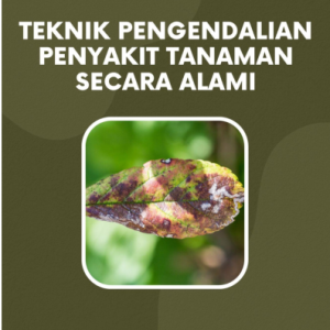 Teknik pengendalian penyakit tanaman secara alami