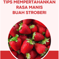 Tips Mempertahankan Rasa Manis Buah Stroberi