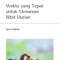Waktu yang Tepat untuk Menanam Bibit Durian
