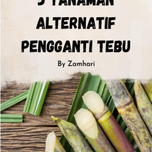 5 Tanaman Alternatif Pengganti Tebu