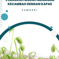 5 Langkah Mudah Menanam Kecambah dengan Kapas