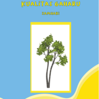 Mengenal Jenis-Jenis Pohon Penghasil Gaharu