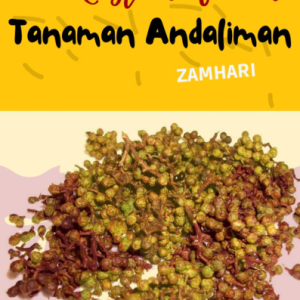 5 Keistimewaan Tanaman Andaliman