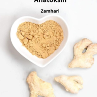 Pemanfaatan Serbuk Jahe untuk Mencegah Aflatoksin