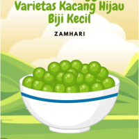 Sederet Keunggulan Varietas Kacang Hijau Biji Kecil