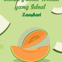 Umur Panen Melon yang Ideal