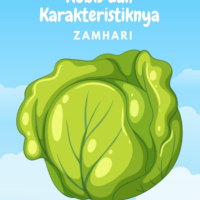 Mengenal Varietas Kubis dan Karakteristiknya