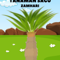 5 Cara Menangkal Penyakit Pada Tanaman Sagu