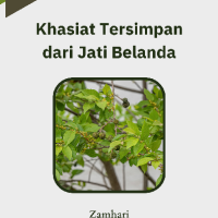 Khasiat Tersimpan dari Jati Belanda