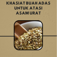 Khasiat Buah Adas untuk Atasi Asam Urat